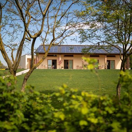 Agriturismo Casa Fiorindo Meolo Ngoại thất bức ảnh